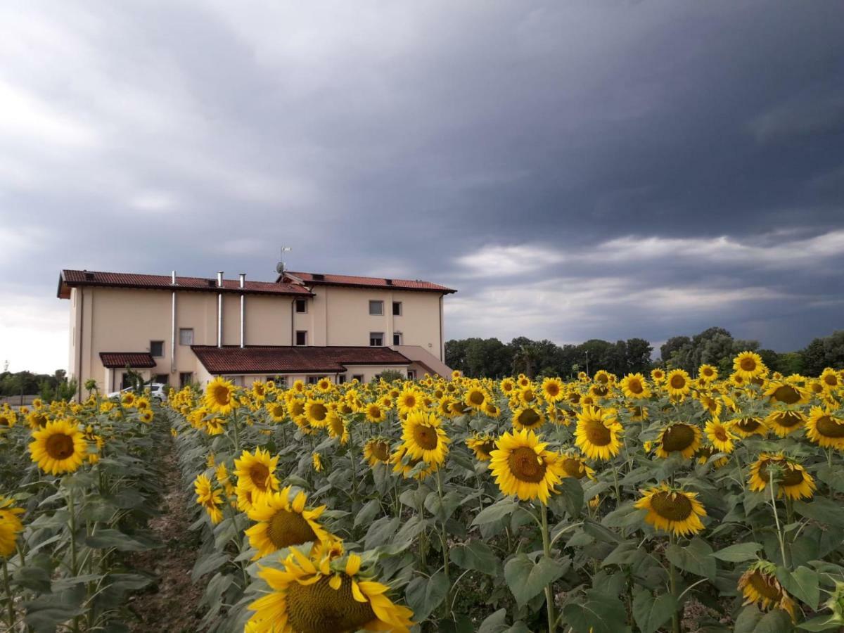 Al Cavaliere Villa Pordenone Bilik gambar